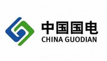 国电 招投标翻译