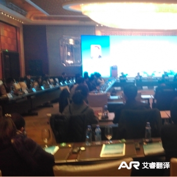 青岛国际投资促进机构咨询会议